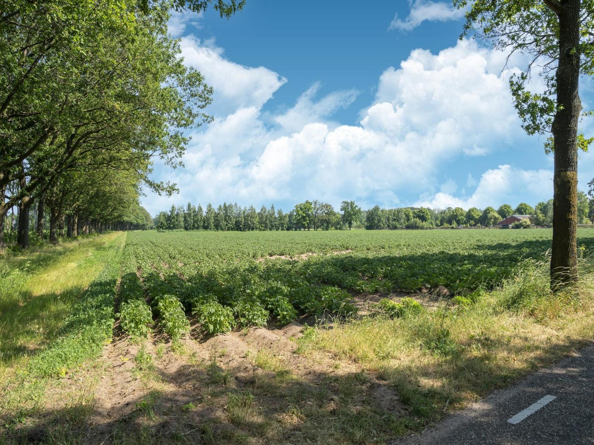 House With A Large Garden In Achterhoek Eibergen Extérieur photo